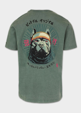 PitBull West Coast Triko Denim Washed MT FUJI - zelené