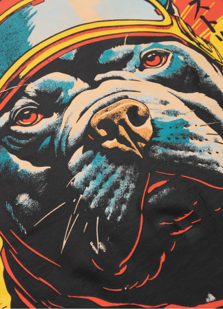 PitBull West Coast Triko FUJI - černé