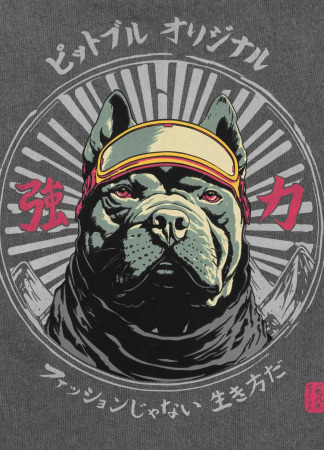 PitBull West Coast Triko Denim Washed MT FUJI - šedé