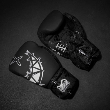 PHANTOM Boxerské rukavice Serious - černé